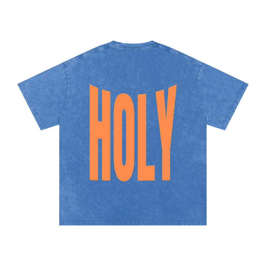 HOLY | Snow Washed Oversized Cotton T-Shirt